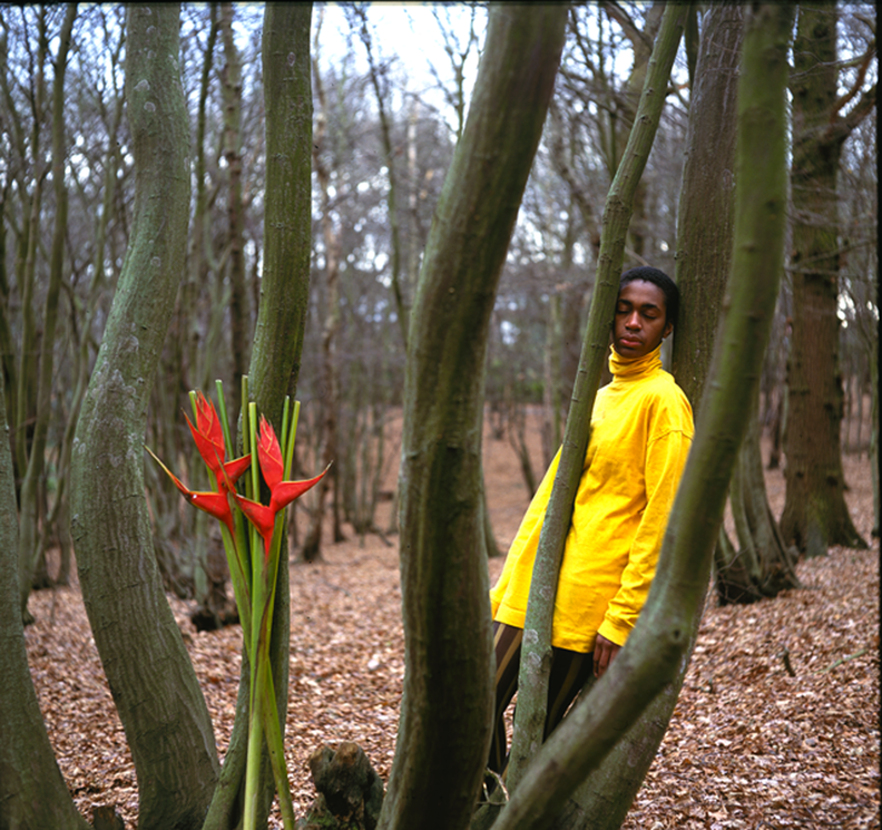 Man leaning against a tree wearing a yellow jacket with a red flower